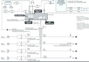 Sony Cdx Wiring Diagram Xplod Wiring Diagram Wiring Diagram