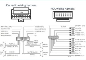 Sony Mex Bt2900 Wiring Diagram sony Cdx Gt200 Wiring Harness Brandforesight Co