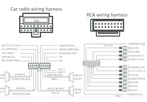 Sony Xplod Cd Player Wiring Diagram Dual Car Stereo Wiring Harness Diagram Car Tuning Book Diagram Schema Sony Xplod Cd Player Wiring Diagram Dual Car Stereo Wiring Harness Diagram Car Tuning Book Diagram Schema