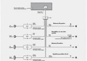 Sony Xplod Cdx Gt35uw Wiring Diagram Xplod Wiring Diagram Wiring Diagram Sony Xplod Cdx Gt35uw Wiring Diagram Xplod Wiring Diagram Wiring Diagram