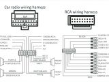 Sony Xplod Wiring Diagram sony Cdx Gt21w Wiring Harness Diagram Wiring Diagram Schema