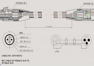 Sony Xplod Wiring Diagram sony Xplod Amp Wiring Diagram Wiring Diagrams