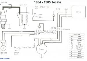 Soundoff Flashback Wiring Diagram soundoff Signal Wiring Diagram 1 Wiring Diagram source Soundoff Flashback Wiring Diagram soundoff Signal Wiring Diagram 1 Wiring Diagram source