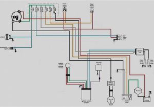 Spark Plug Coil Wiring Diagram Xx 7178 Ignition Coil Wiring Diagram Harley Davidson Wiring