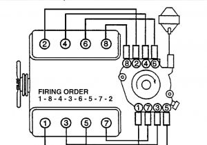 Spark Plug Wiring Diagram Chevy 350 is 350 Wiring Diagram Wiring Diagram