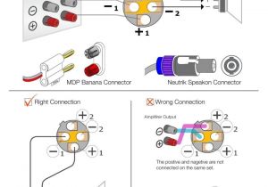 Speakon Nl4fx Wiring Diagram Neutrik Speakon Connector Wiring Diagram Wiring Diagram