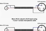 Speakon to 1 4 Inch Wiring Diagram Rca Phono to Xlr Wiring Diagrams Wire Management Wiring Diagram