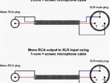 Speakon to 1 4 Inch Wiring Diagram Rca Phono to Xlr Wiring Diagrams Wire Management Wiring Diagram