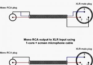 Speakon to 1 4 Inch Wiring Diagram Rca Phono to Xlr Wiring Diagrams Wire Management Wiring Diagram Speakon to 1 4 Inch Wiring Diagram Rca Phono to Xlr Wiring Diagrams Wire Management Wiring Diagram