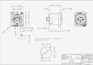 Speakon to 1 4 Inch Wiring Diagram Speakon Jack Diagram Wiring Diagram Speakon to 1 4 Inch Wiring Diagram Speakon Jack Diagram Wiring Diagram