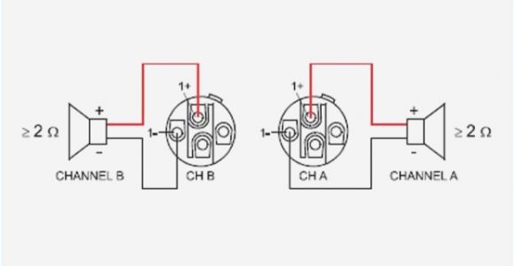 Speakon to 1 4 Inch Wiring Diagram Speakon Jack Diagram Wiring Diagram