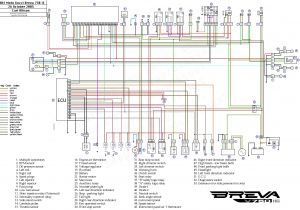 Speed Sensor Wiring Diagram 3 9 Liter Dodge Engine Diagram Fuel Sensor Wiring Diagram Blog