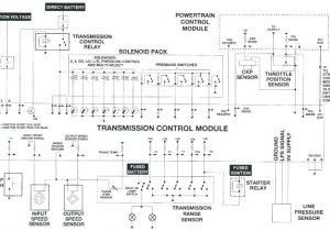 Speed Sensor Wiring Diagram Rigid Light Bar Wiring Diagram Wiring Diagram Update Speed Sensor Wiring Diagram Rigid Light Bar Wiring Diagram Wiring Diagram Update