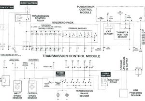 Speed Sensor Wiring Diagram Rigid Light Bar Wiring Diagram Wiring Diagram Update