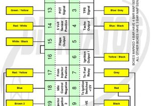 Spitronics Engine Management Wiring Diagram Dictator Fuel Management Wiring Diagram Home Wiring Diagram Spitronics Engine Management Wiring Diagram Dictator Fuel Management Wiring Diagram Home Wiring Diagram