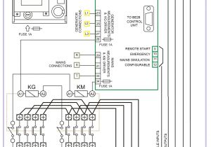 Spitronics Engine Management Wiring Diagram Management Wiring Diagram Blog Wiring Diagram Spitronics Engine Management Wiring Diagram Management Wiring Diagram Blog Wiring Diagram