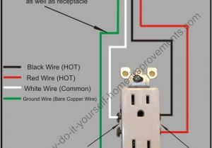 Split Receptacle Wiring Diagram Wiring A Plug Diagram Wiring Diagram Blog