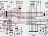 Sportster Wiring Diagram 2006 Sportster Wiring Diagram Inspirational Wiring Diagram for