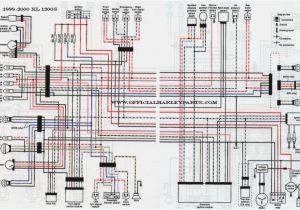 Sportster Wiring Diagram 2006 Sportster Wiring Diagram Inspirational Wiring Diagram for