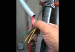 Sprinkler Flow Switch Wiring Diagram Tamper Wiring Diagram for Wiring Diagram Data Sprinkler Flow Switch Wiring Diagram Tamper Wiring Diagram for Wiring Diagram Data