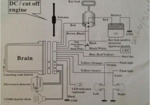 Spy 5000m Motorcycle Alarm Wiring Diagram Spy 5000m Car Alarm Wiring Diagram Manual E Book