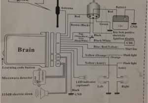 Spy 5000m Motorcycle Alarm Wiring Diagram Spy 5000m Car Alarm Wiring Diagram Manual E Book
