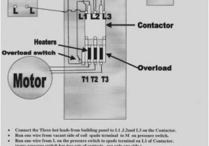 Square D 8536sco3s Wiring Diagram 14 Professional Nema Motor Starter Wiring Diagram Collections Type Square D 8536sco3s Wiring Diagram 14 Professional Nema Motor Starter Wiring Diagram Collections Type