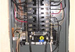 Square D Sub Panel Wiring Diagram 19468d1382135478wiringlightbox9fluorescentbulbswiringjpg Wiring