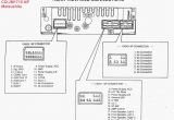Squier Bullet Wiring Diagram Squier Amp Wiring Diagram Wiring Diagram Name