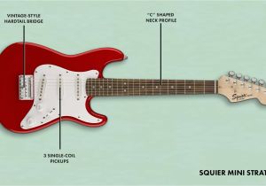 Squier Bullet Wiring Diagram Squier Stratocaster A Buying Guide Fender Guitars