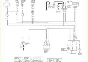 Ssr Pit Bike Wiring Diagram Ssr 125 Wiring Diagram Wiring Diagram Ssr Pit Bike Wiring Diagram Ssr 125 Wiring Diagram Wiring Diagram