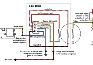 Ssr Pit Bike Wiring Diagram Wiring Harness Diagram Along with Motorcycle Wiring Harness Diagram Ssr Pit Bike Wiring Diagram Wiring Harness Diagram Along with Motorcycle Wiring Harness Diagram