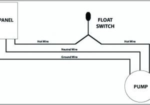 Stark Pool Pump Wiring Diagram Pool Pump Wiring Diagram Amazing Booster Motor and Book Of Pag