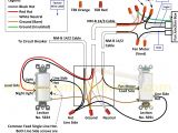 Starter Wiring Diagram 30 Wire Light Switch Diagram Electrical Wiring Diagram software
