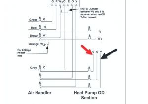 Stator Wiring Diagram Yamaha Blaster Wiring Eastofengland Co Stator Wiring Diagram Yamaha Blaster Wiring Eastofengland Co