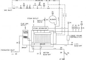 Steam Boiler Wiring Diagram Lx Series