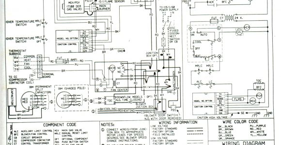 Steam Table Wiring Diagram Taco 007 F5 Wiring Diagram Wiring Diagram Show