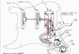 Strat Hsh Wiring Diagram Hss Strat Wiring Wiring Diagram Database