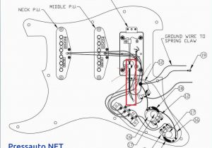 Strat Pickup Wiring Diagram Fender Standard Wiring Diagrams Wiring Diagram Schematic