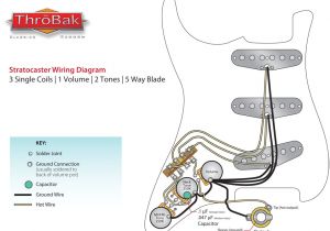 Strat Super Switch Wiring Diagrams Strat Wiring Diagram Wiring Diagram Name Strat Super Switch Wiring Diagrams Strat Wiring Diagram Wiring Diagram Name