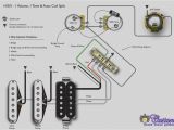 Strat Wiring Diagrams Fender Squier Guitar Wiring Diagram Free Download Wiring Diagram Site
