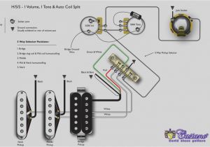 Strat Wiring Diagrams Fender Squier Guitar Wiring Diagram Free Download Wiring Diagram Site Strat Wiring Diagrams Fender Squier Guitar Wiring Diagram Free Download Wiring Diagram Site