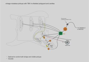 Stratocaster Hsh Wiring Diagram Fender Noiseless Pickups Wiring Diagram Best Of Fender Strat H S H Stratocaster Hsh Wiring Diagram Fender Noiseless Pickups Wiring Diagram Best Of Fender Strat H S H