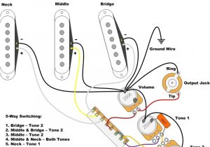 Stratocaster Wiring Diagram 3 Way Switch Fender Strat 3 Way Switch Wiring Diagram Wiring Diagram Expert