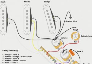 Stratocaster Wiring Diagram Fender Support Wiring Diagrams Wiring Diagram Sheet