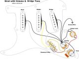 Stratocaster Wiring Diagram Jeff Baxter Strat Wiring Diagram Google Search Guitar Wiring In