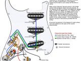 Stratocaster Wiring Diagram Strat Wiring Diagrams for Electric Guitars Wiring Diagram sort
