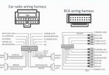 Sub Amp Wiring Diagram 16 Printable Wiring Diagrams Subwoofer Girlscoutsppc