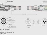 Sub Meter Wiring Diagram 220v to 110v Wiring Diagram Wiring Diagrams Place