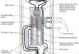 Sub Panel Wiring Diagram Wiring A Homeline Service Panel Wiring Diagram Database